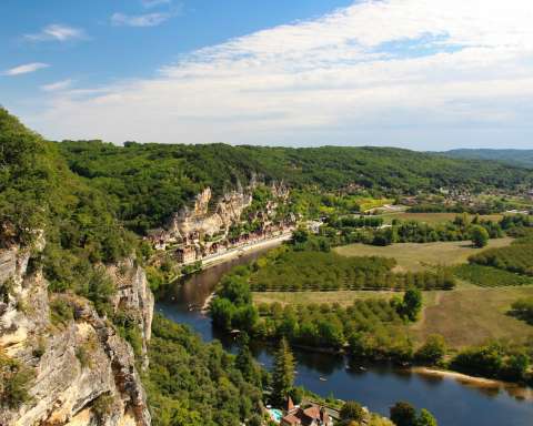 green trees near river under blue sky during daytime