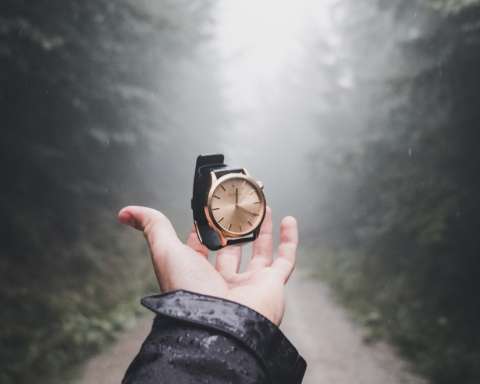 person holding round gold-colored analog watch