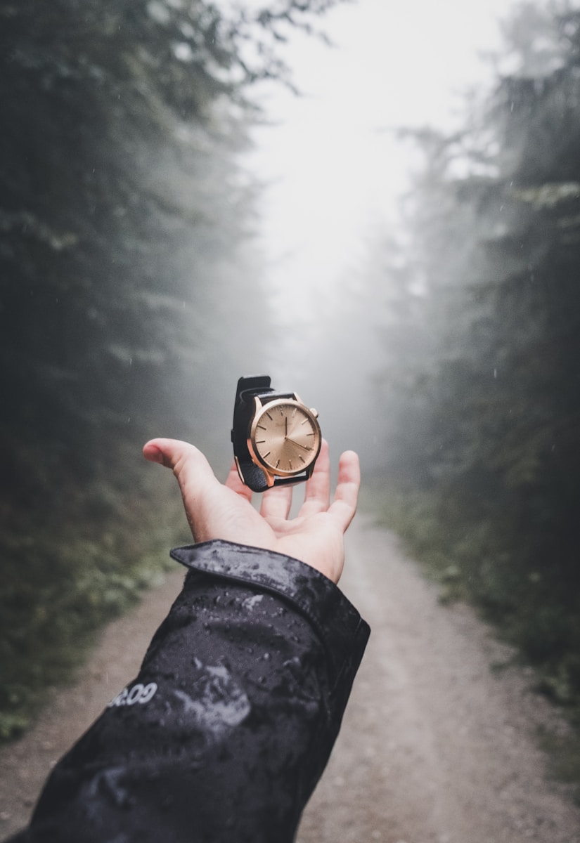 person holding round gold-colored analog watch