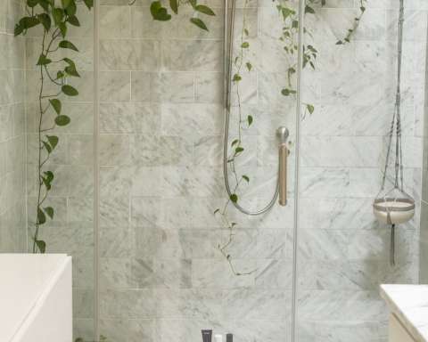 clear shower stall