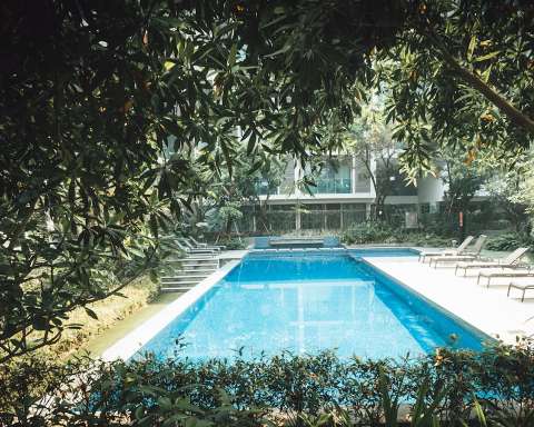 swimming pool surrounded by trees