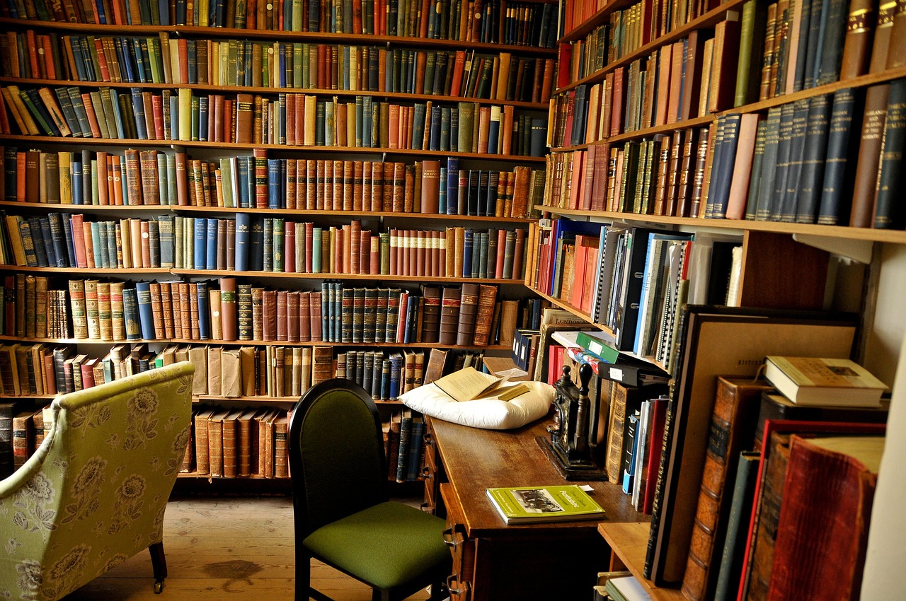 Rij geschiedenisboeken op een bibliotheekplank