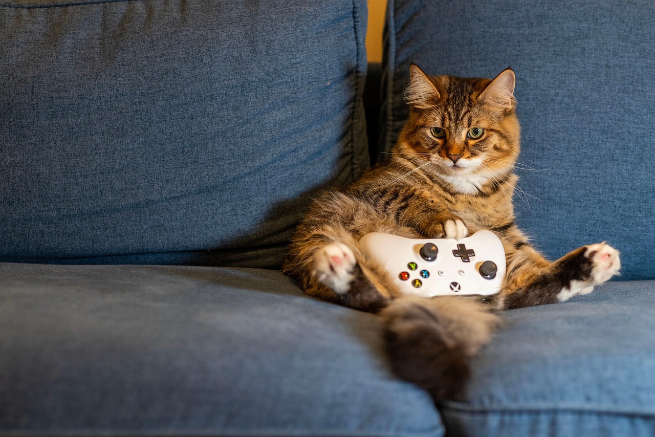 Een gaming controller op een bureau, symbool voor het kiezen van het juiste gameabonnement